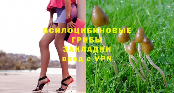 COCAINE Белокуриха