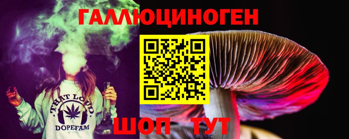 что такое наркотик  Псилоцибиновые грибы прущие грибы  Вход с VPN  Вязники 