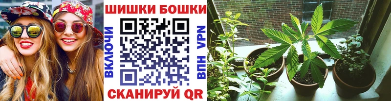 Бошки марихуана план это как зайти Вязники